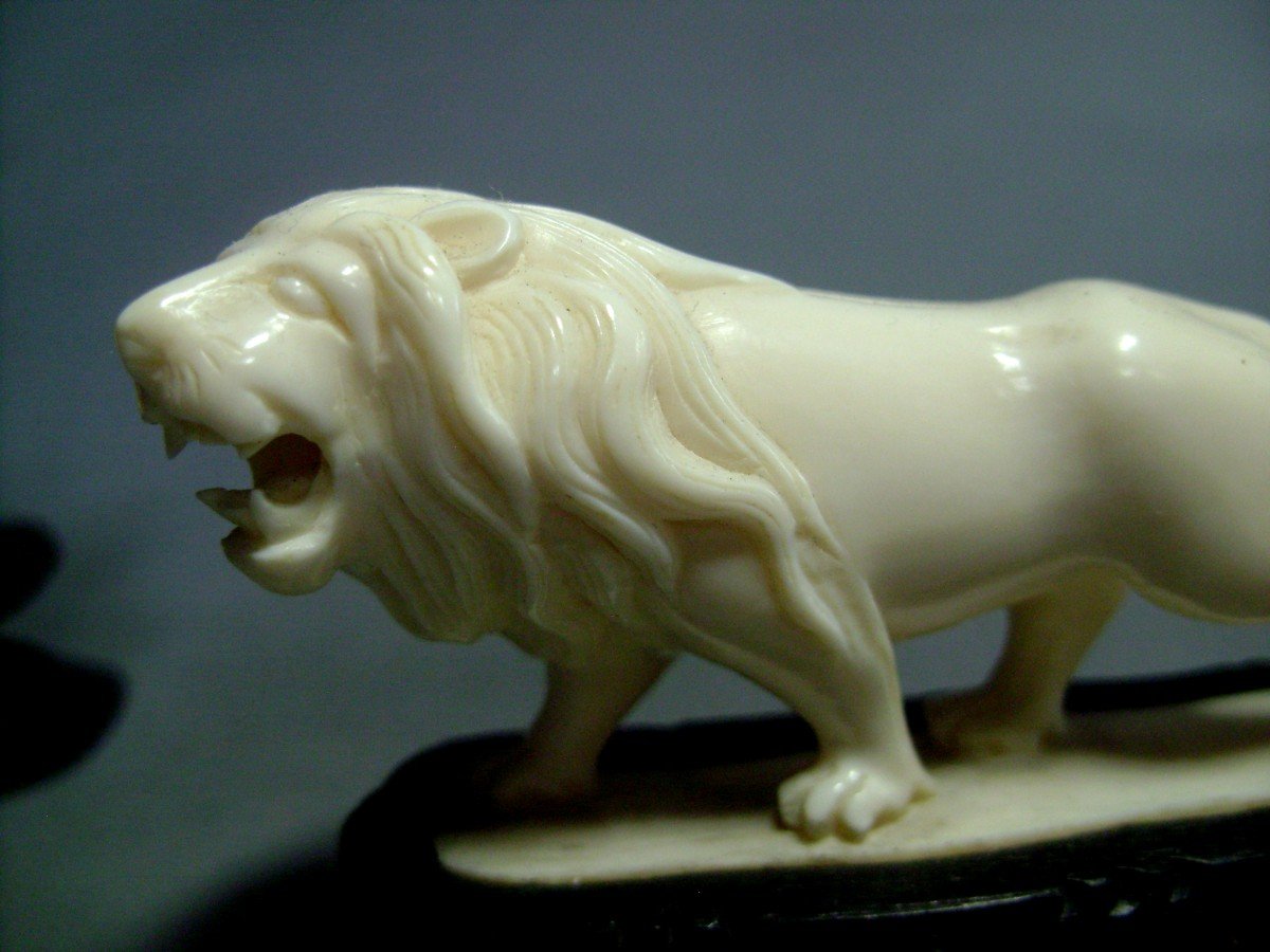 Ivory Okimono. Couple Of Lions. China 1920_30-photo-4