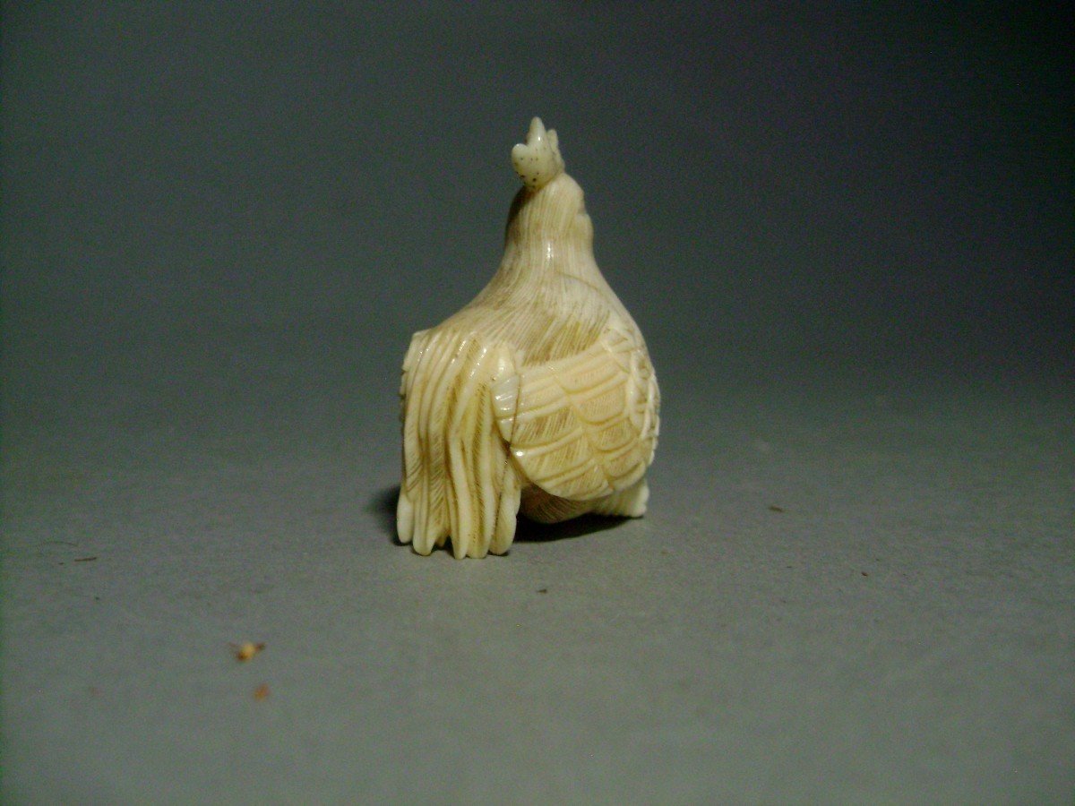 Netsuke En Ivoire. Poule Couvant. Japon époque Taisho (1912-1928 )-photo-1