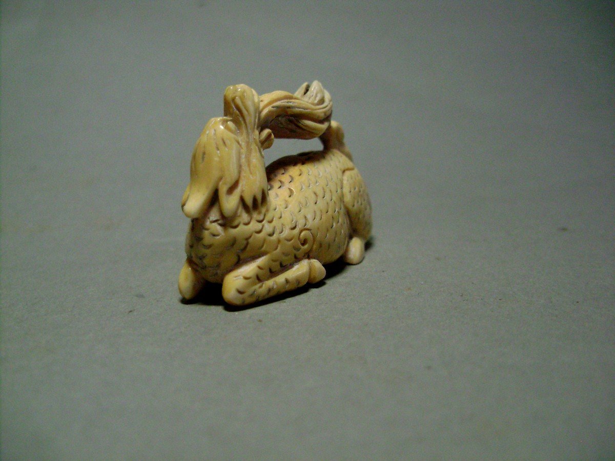 Netsuke En Ivoire.  Monstre à écailles. Japon, Fin époque Meiji .-photo-3