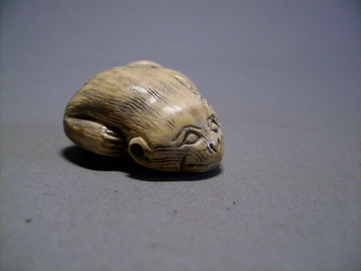 Netsuke en Ivoire. Le Songe du singe.japon époque Meiji (1868-1912 )-photo-1