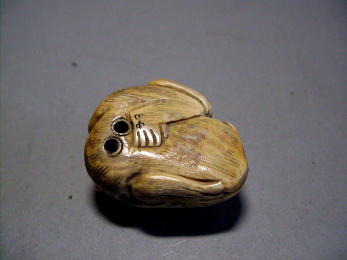 Netsuke en Ivoire. Le Songe du singe.japon époque Meiji (1868-1912 )-photo-2