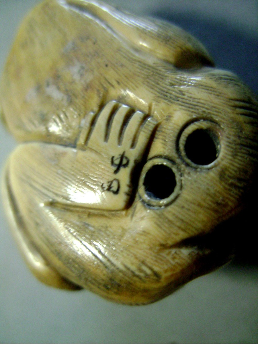 Netsuke en Ivoire. Le Songe du singe.japon époque Meiji (1868-1912 )-photo-3