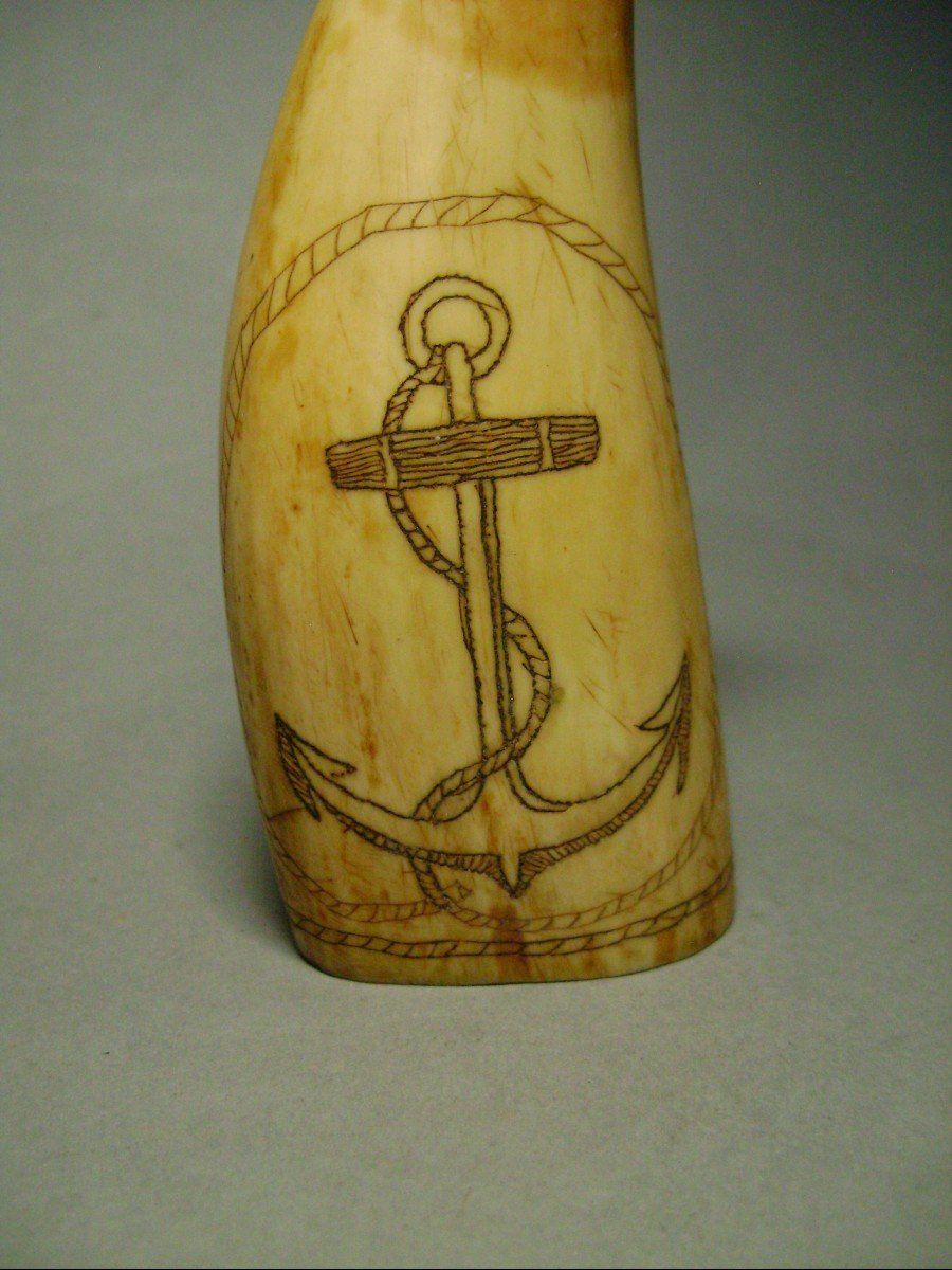 Scrimshaw. Whaler And Marine Anchor. 19th Century-photo-2