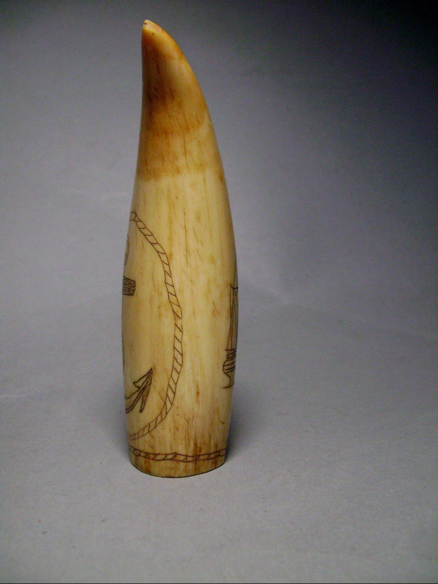 Scrimshaw. Whaler And Marine Anchor. 19th Century-photo-3