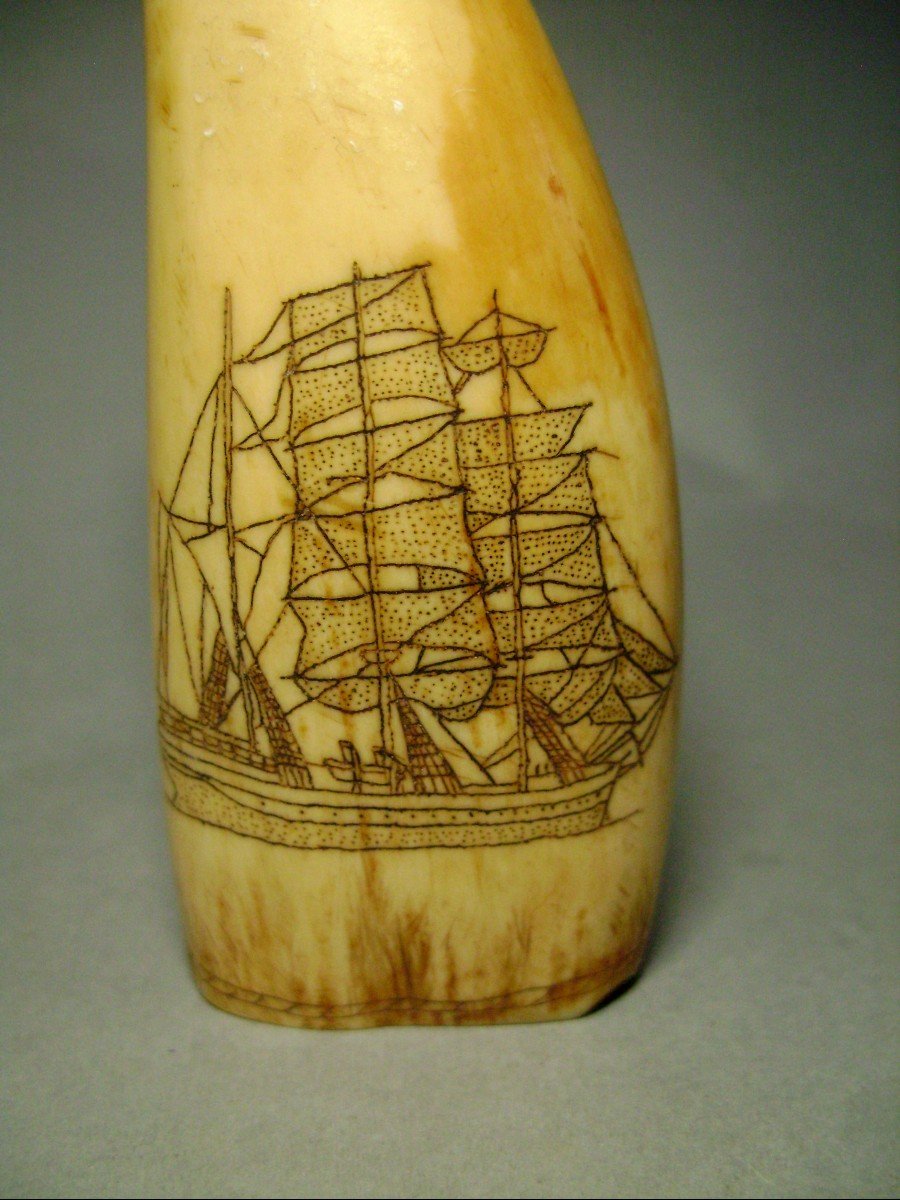 Scrimshaw. Whaler And Marine Anchor. 19th Century-photo-1