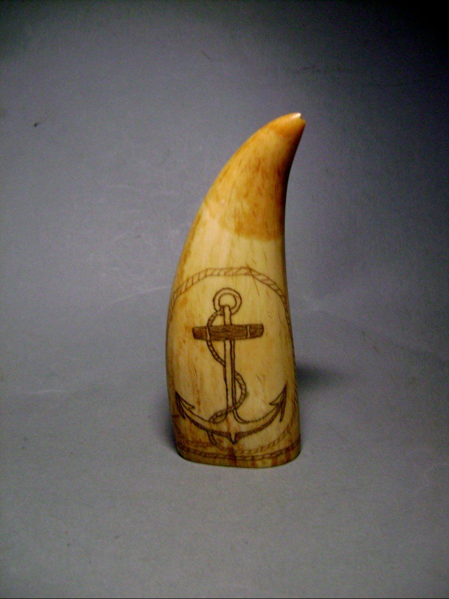 Scrimshaw. Whaler And Marine Anchor. 19th Century