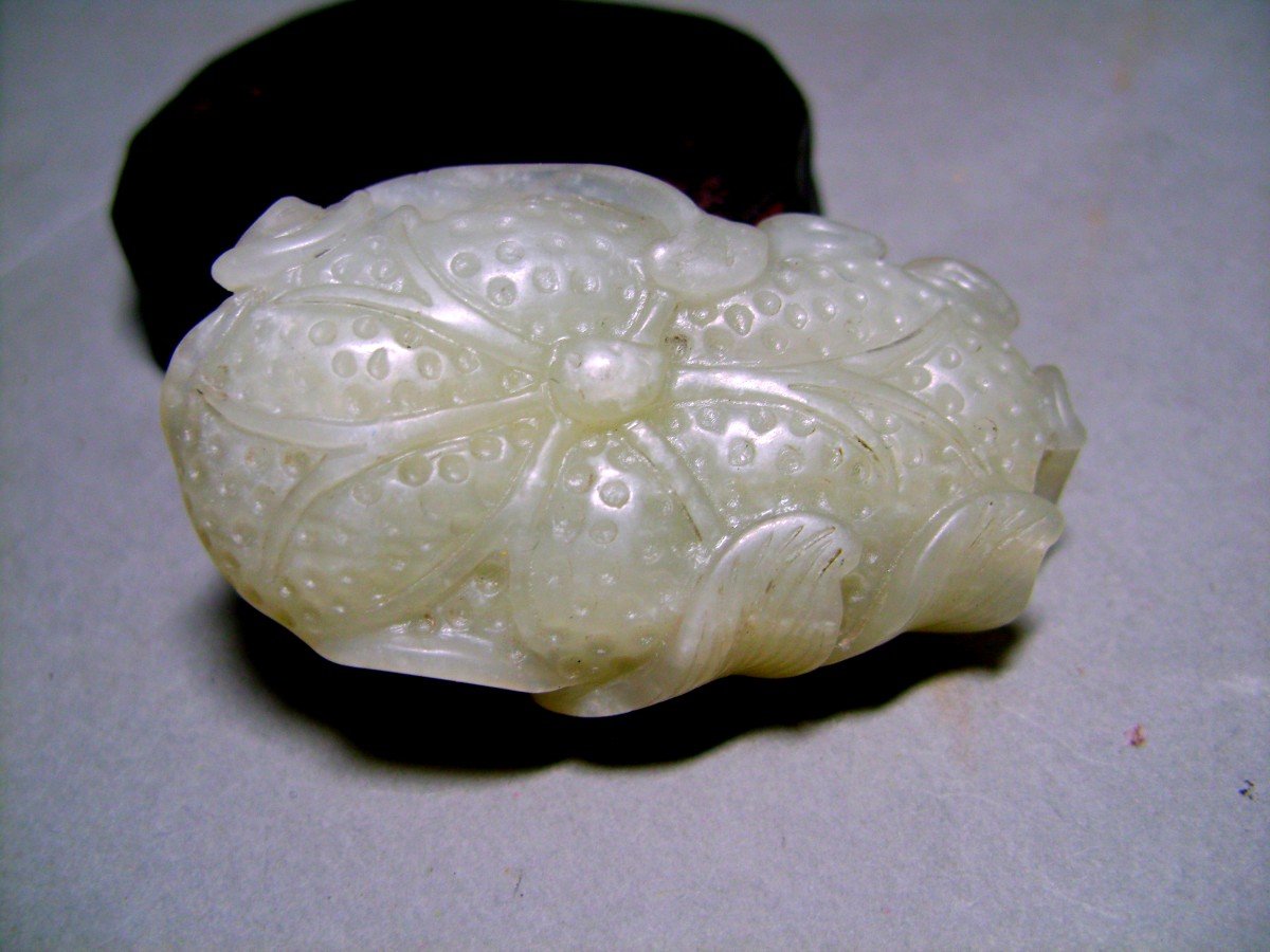 Jade Céladon. Poisson télescope. Chine Début XXème.-photo-2