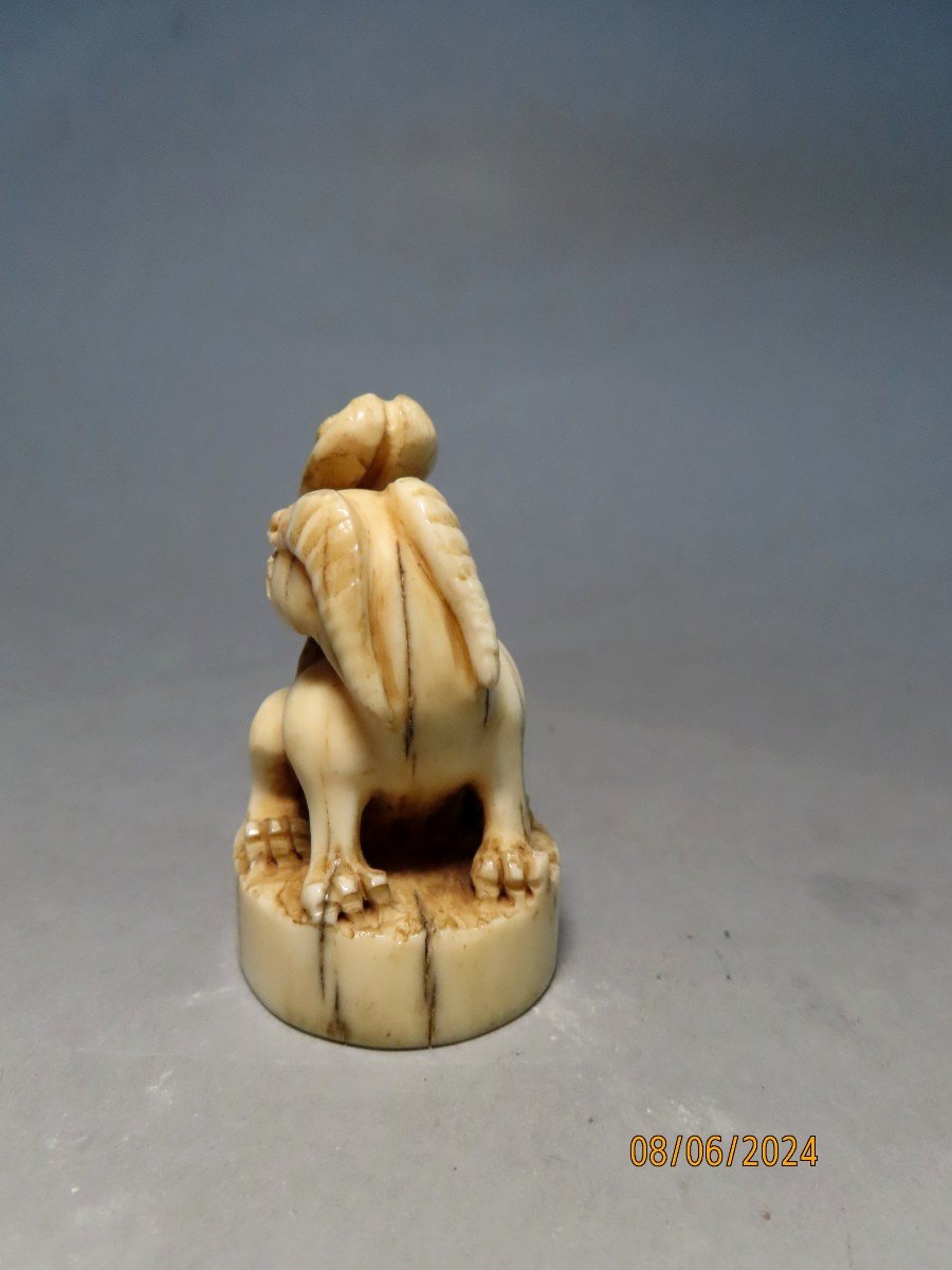 Ivory Seal. Shishi. Japan Meiji Period (1868-1912)-photo-3