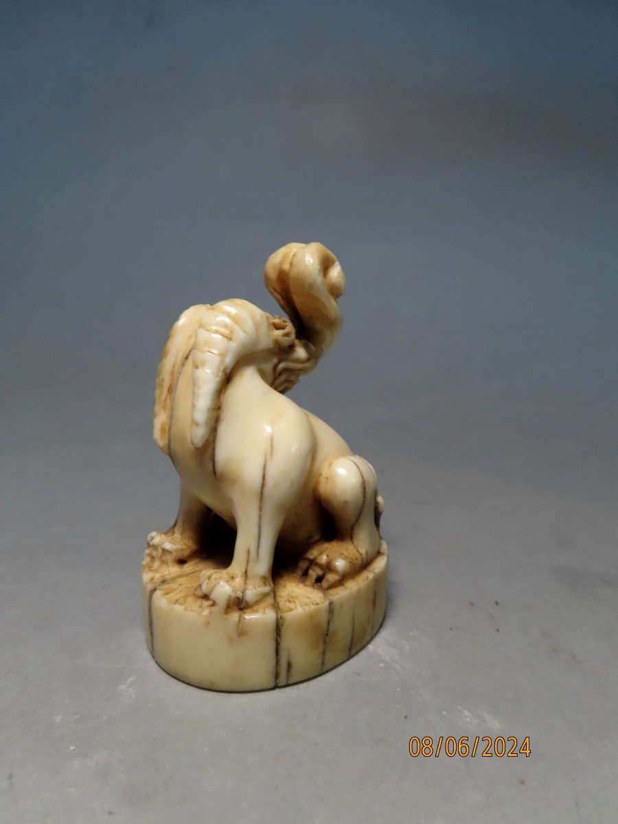 Ivory Seal. Shishi. Japan Meiji Period (1868-1912)-photo-4