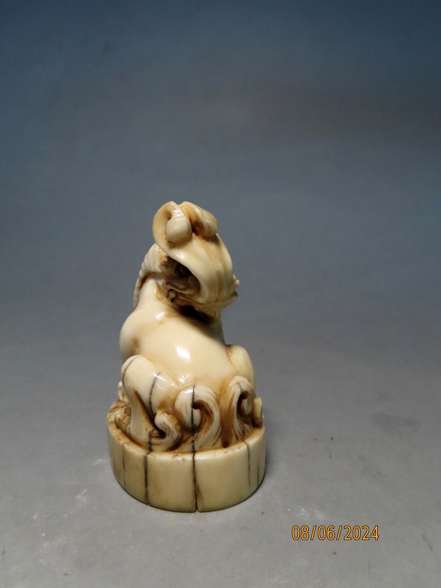 Ivory Seal. Shishi. Japan Meiji Period (1868-1912)-photo-3