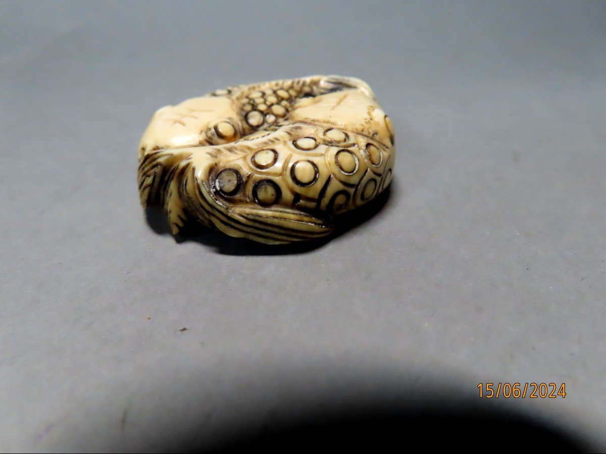 Netsuke In Ivory. Two Fish. Japan Meiji Period (1868-1912)-photo-3