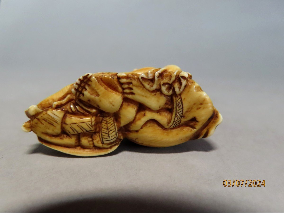 Ivory Netsuke. Small Horse Coming Out Of A Gourd. Japan Meiji Era (1868-1912)-photo-3