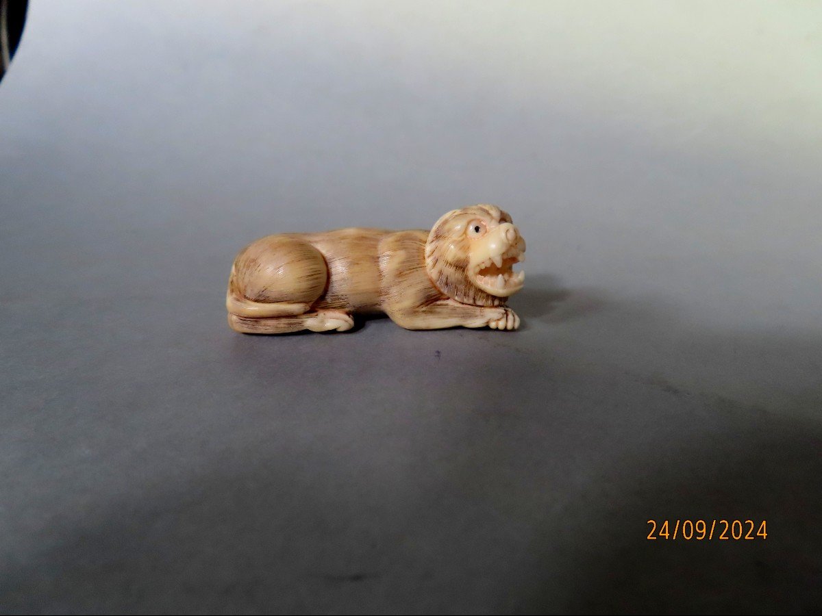 Ivory Netsuke. Lion Or Tiger? Japan Taisho Period (1912-1928)