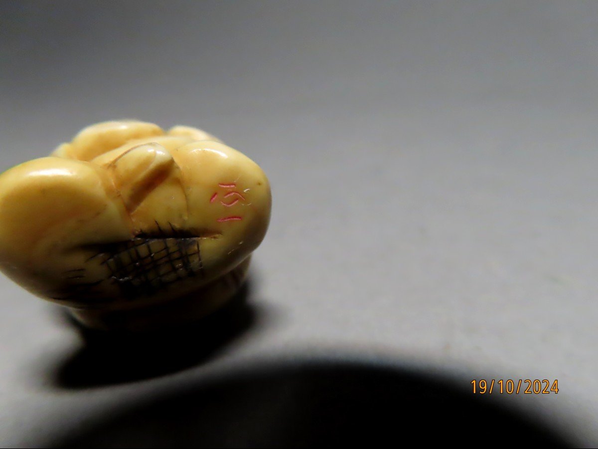 Two Ivory Netsuke. Daikoku And Daikoku. Japan Meiji Period (1868-1912)-photo-7