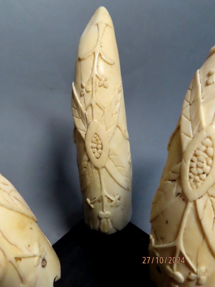 Three Scrimshaws. Flowering Plant. 19th Century.-photo-5