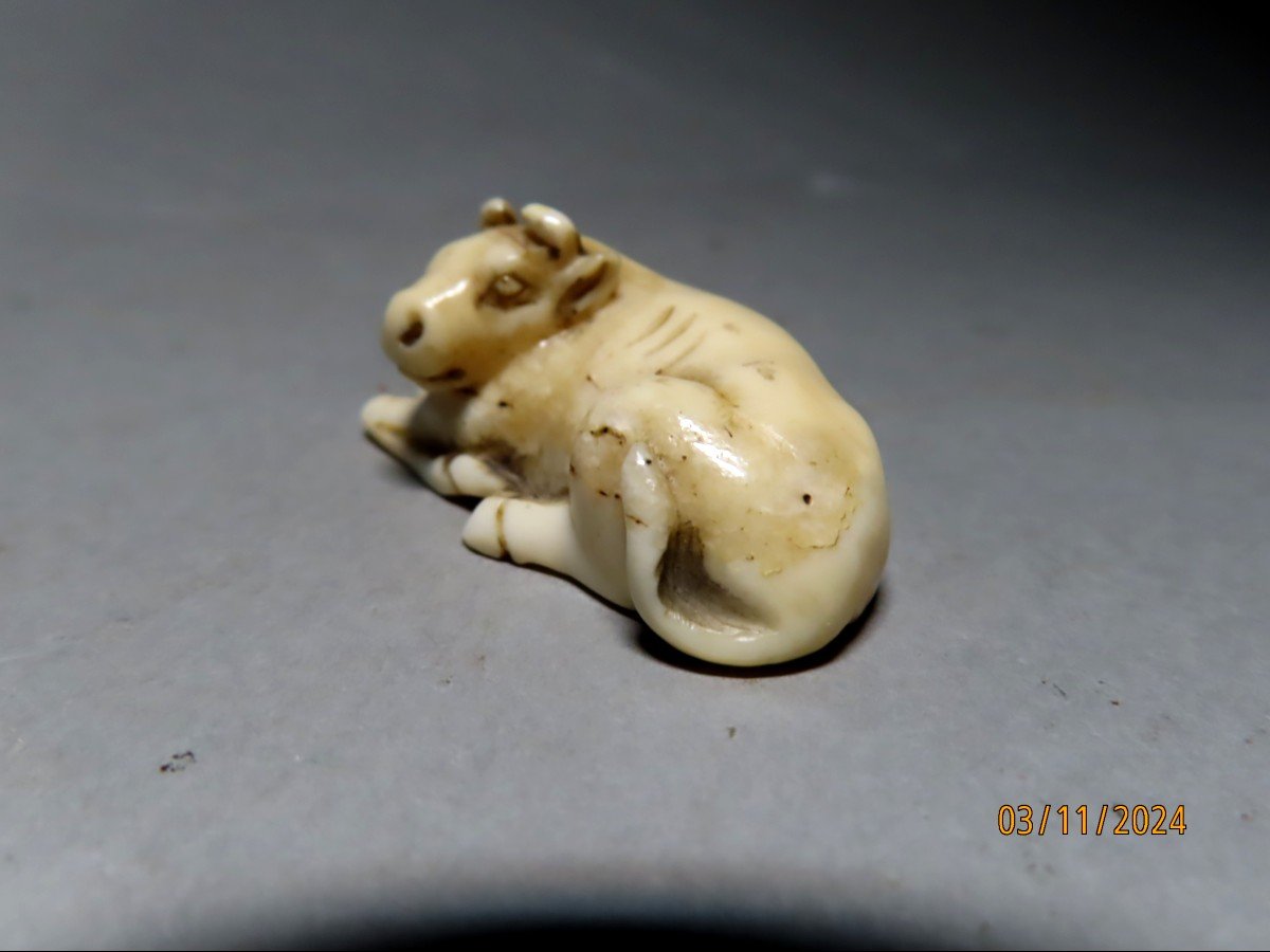 Ivory Netsuke. Lying Rice Buffalo. Japan Edo Period (1603-1868)-photo-2