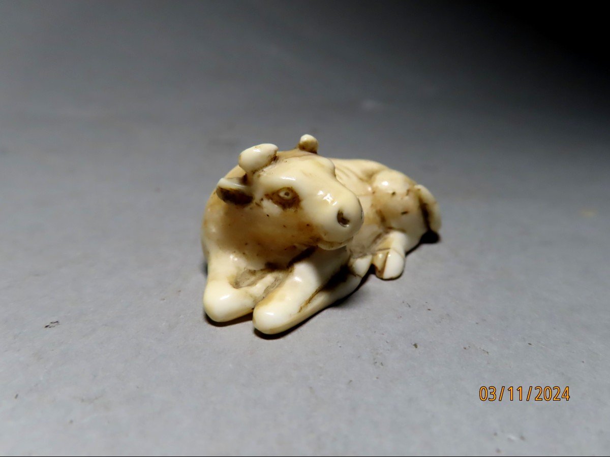 Ivory Netsuke. Lying Rice Buffalo. Japan Edo Period (1603-1868)-photo-1