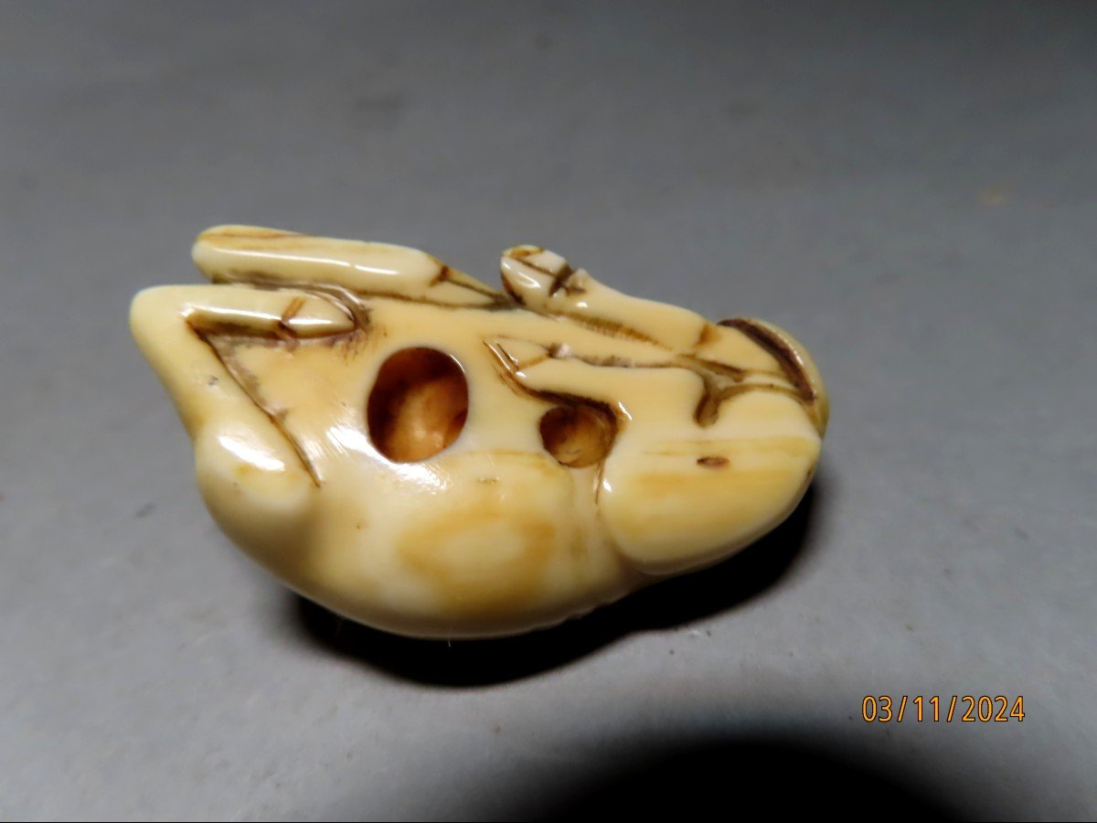 Ivory Netsuke. Lying Rice Buffalo. Japan Edo Period (1603-1868)-photo-2