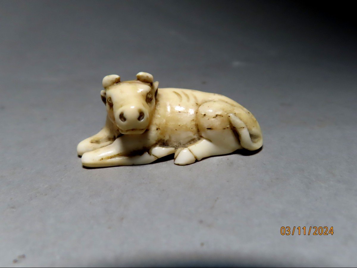 Ivory Netsuke. Lying Rice Buffalo. Japan Edo Period (1603-1868)