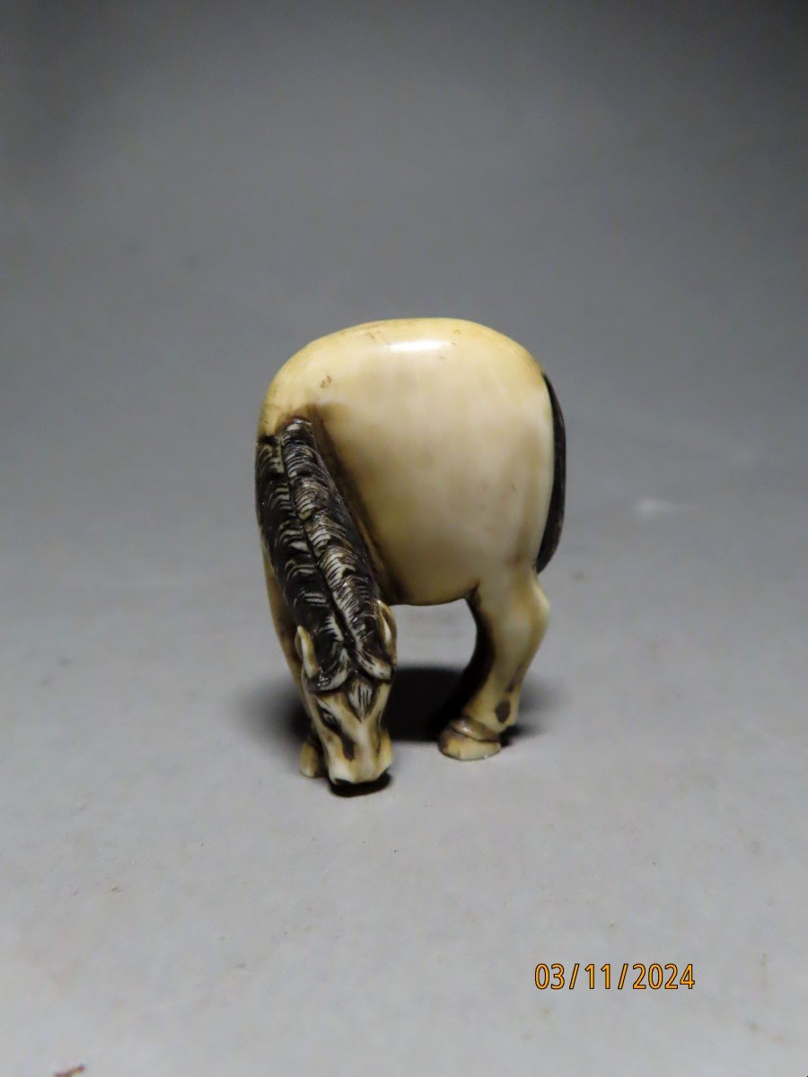 Ivory Netsuke. Grazing Horse. Japan Meiji Period (1868-1912)-photo-2