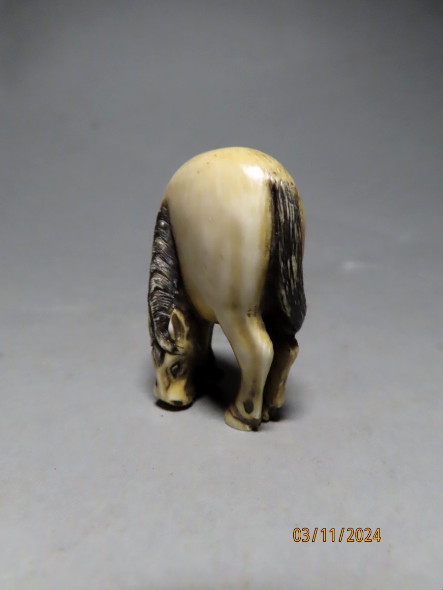 Ivory Netsuke. Grazing Horse. Japan Meiji Period (1868-1912)-photo-3