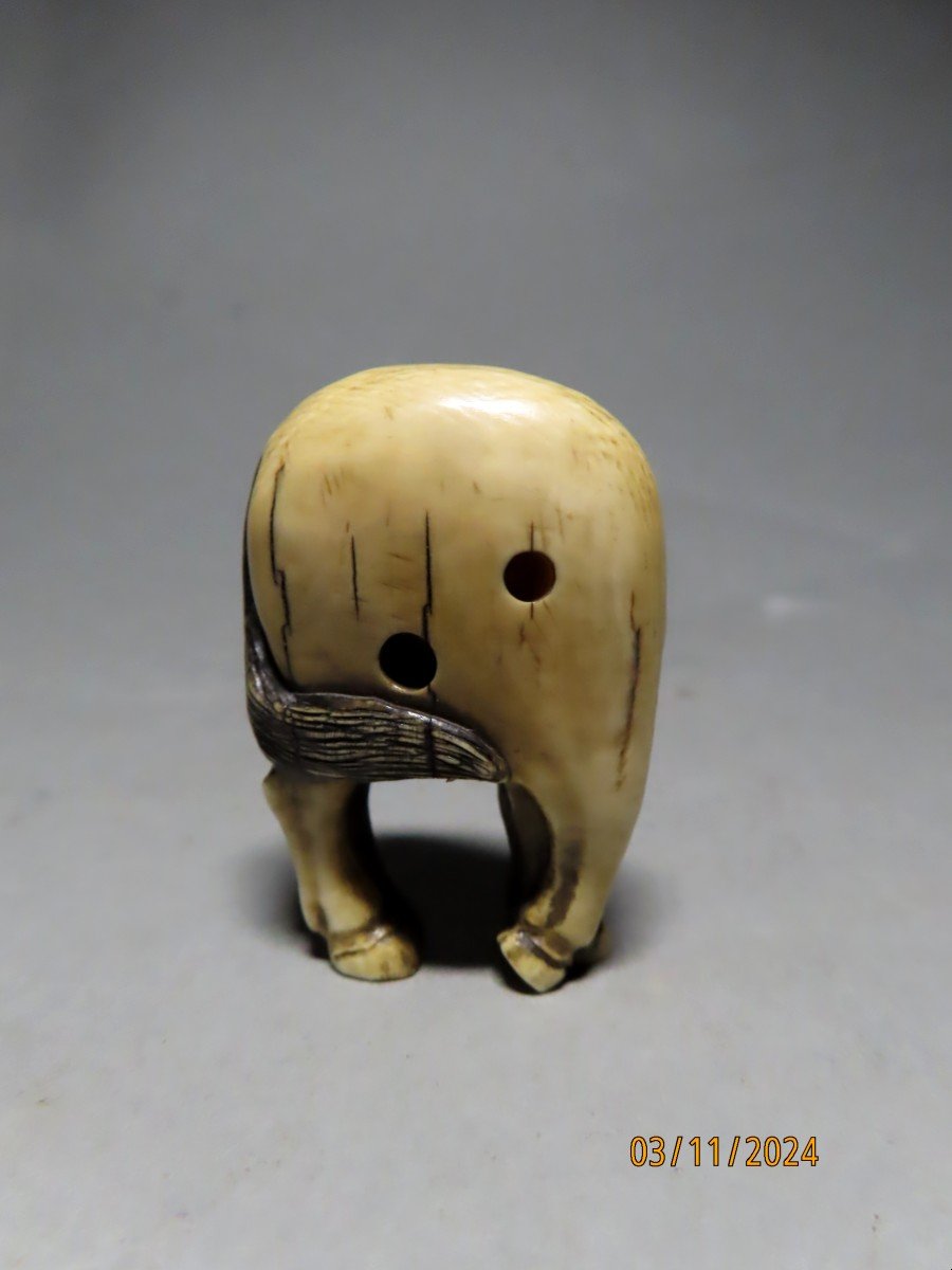 Ivory Netsuke. Grazing Horse. Japan Meiji Period (1868-1912)-photo-4