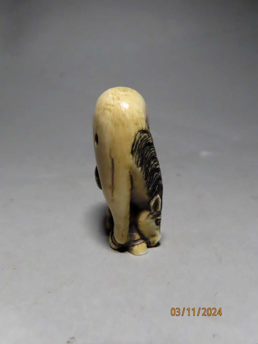 Ivory Netsuke. Grazing Horse. Japan Meiji Period (1868-1912)-photo-1