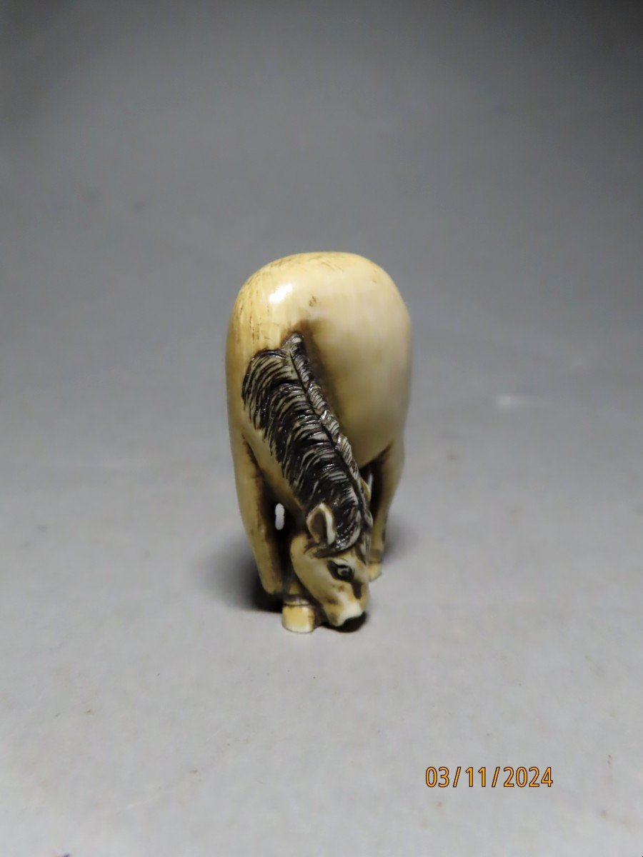 Ivory Netsuke. Grazing Horse. Japan Meiji Period (1868-1912)