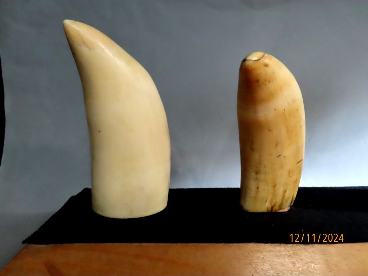 Scrimshaws, Four Sperm Whale Teeth. 19th Century-photo-6