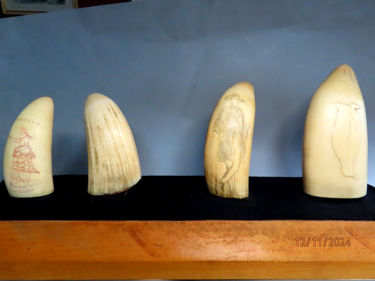 Scrimshaws, Four Sperm Whale Teeth. 19th Century