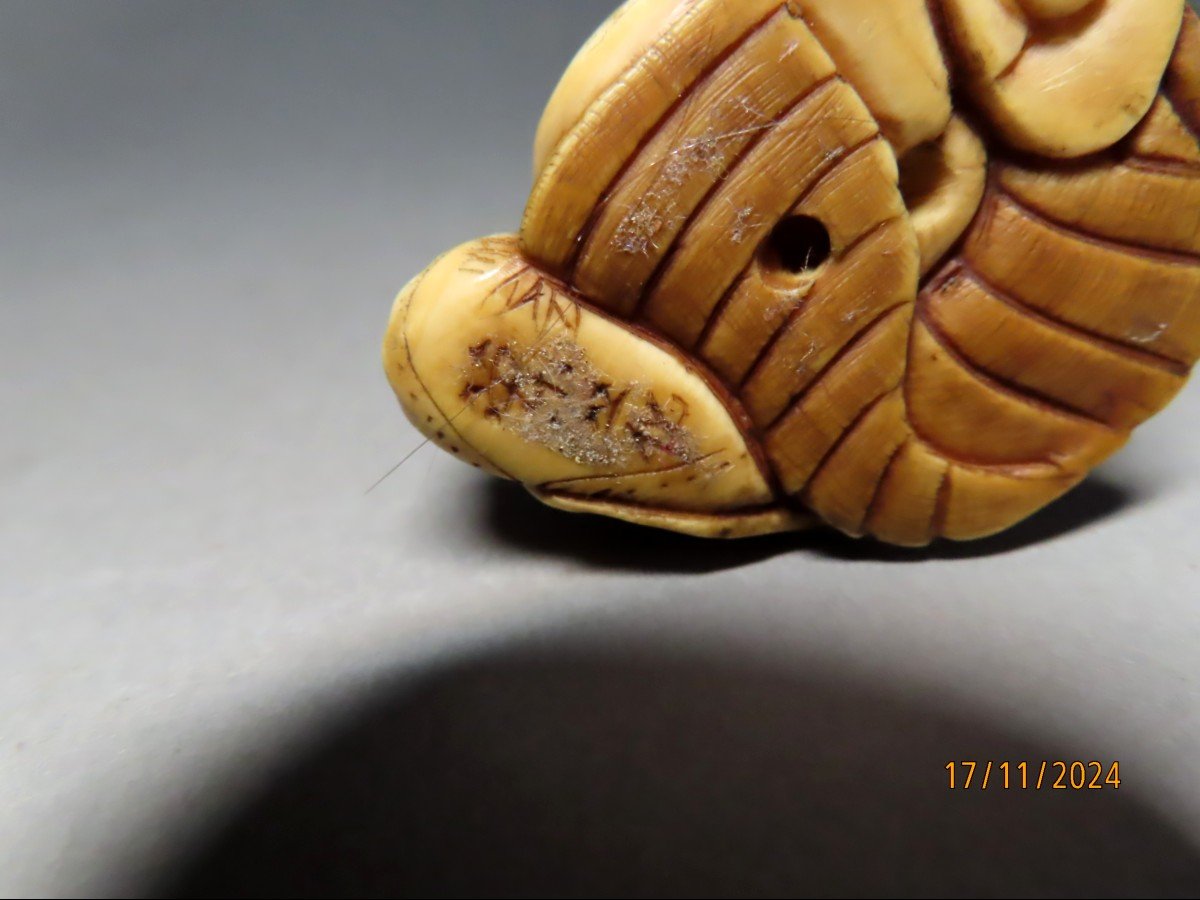 Ivory Netsuke. Pot-bellied Hotei. Japan, Meiji Period (1868-1912)-photo-2