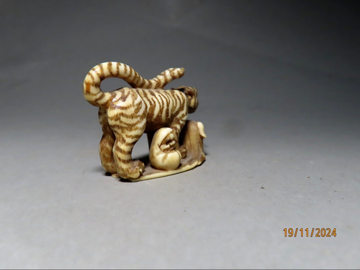 Netsuke en ivoire. Tigre sur masque Shishi et Daruma. Signé Shoko, école de Hida. Japon Meiji .-photo-3