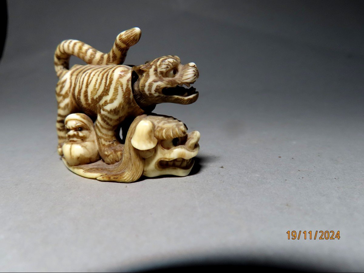 Netsuke en ivoire. Tigre sur masque Shishi et Daruma. Signé Shoko, école de Hida. Japon Meiji .-photo-1