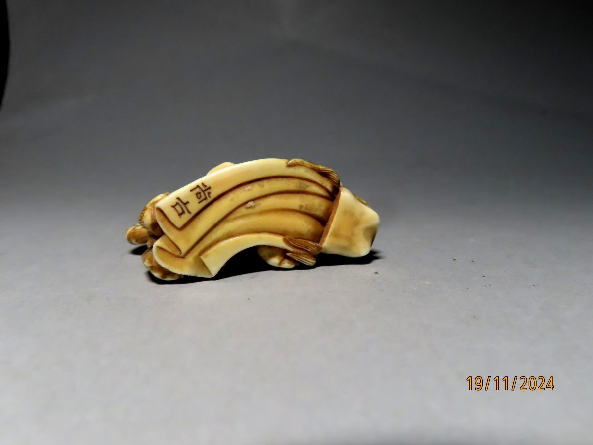 Netsuke en ivoire. Tigre sur masque Shishi et Daruma. Signé Shoko, école de Hida. Japon Meiji .-photo-2