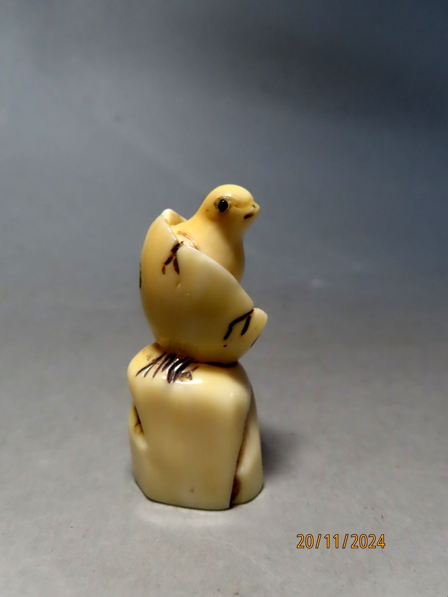 Netsuke en ivoire. Poussin dans sa coquille. Japon époque Taisho (1912-1928 )-photo-4