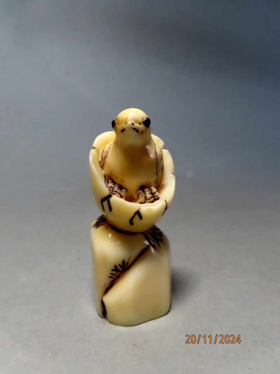 Netsuke en ivoire. Poussin dans sa coquille. Japon époque Taisho (1912-1928 )-photo-1