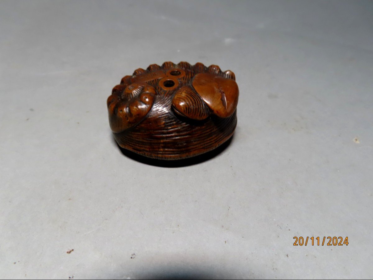 Wooden Netsuke. Abalone, Awabi. Signed Tomonobu, Japan Meiji Period (1868-1912)-photo-2