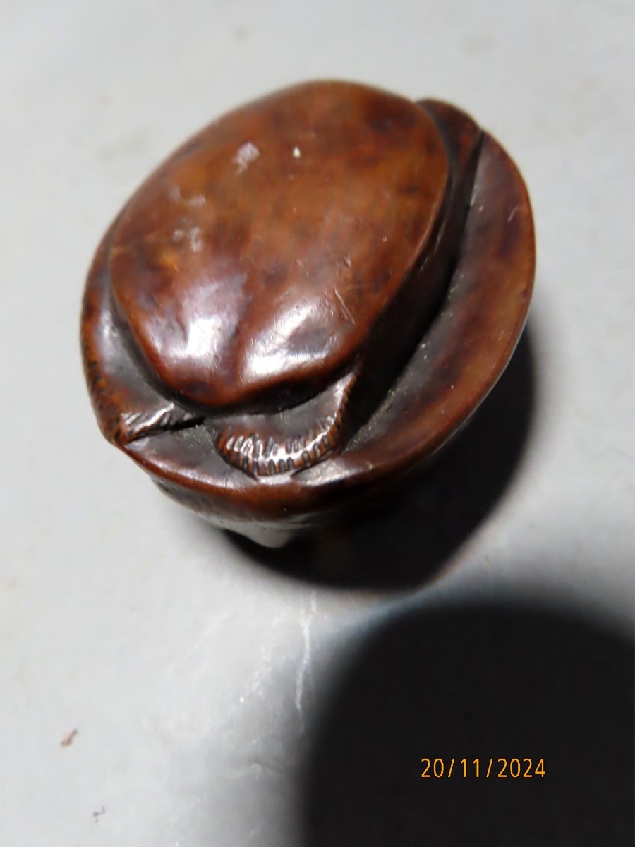 Wooden Netsuke. Abalone, Awabi. Signed Tomonobu, Japan Meiji Period (1868-1912)-photo-2