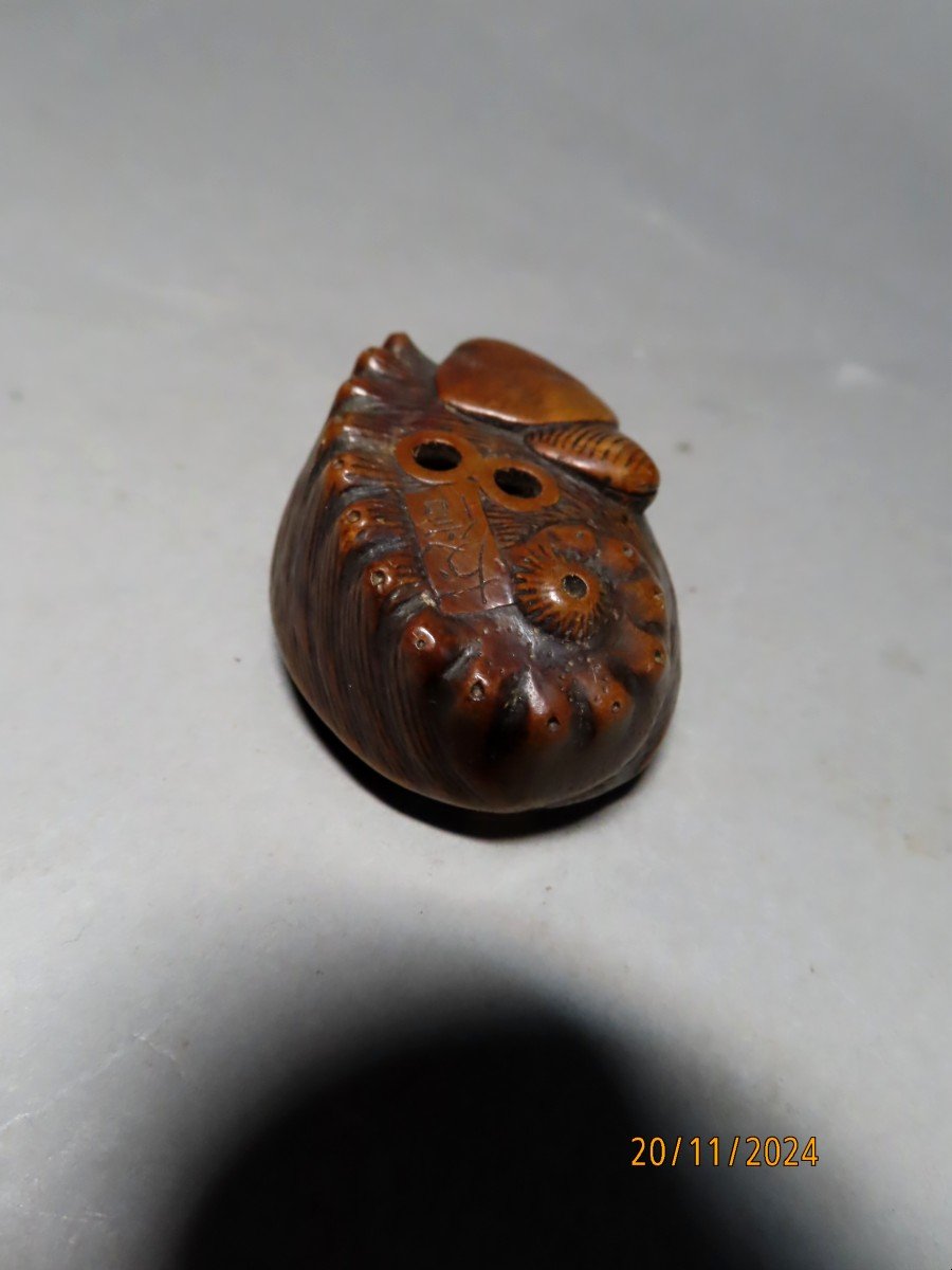 Wooden Netsuke. Abalone, Awabi. Signed Tomonobu, Japan Meiji Period (1868-1912)