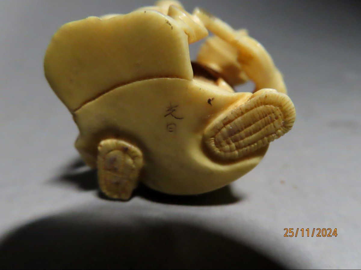 Netsuke en ivoire. La buveuse de sake. Japon époque Taisho (1912-1928 )-photo-4