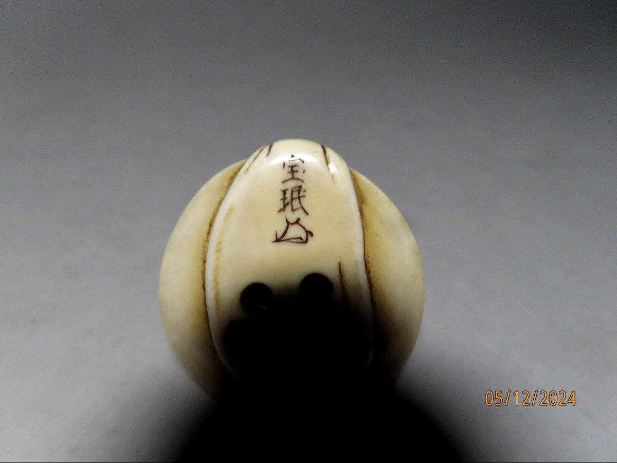 Ivory Netsuke. Shojo In A Sake Cup. Signed Ryumin, Edo School. Japan, Meiji Period.-photo-5