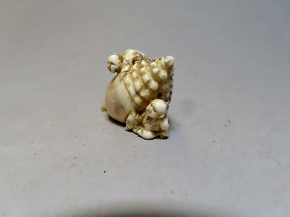 Netsuke en ivoire. Deux karako sur une conque géante. Japon époque Meiji (1868-1912 )-photo-2