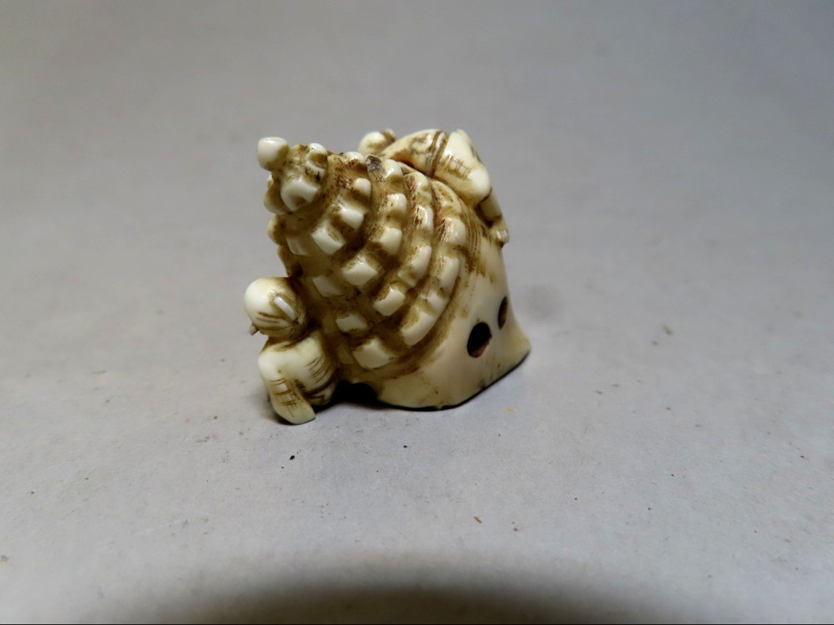 Netsuke en ivoire. Deux karako sur une conque géante. Japon époque Meiji (1868-1912 )-photo-3