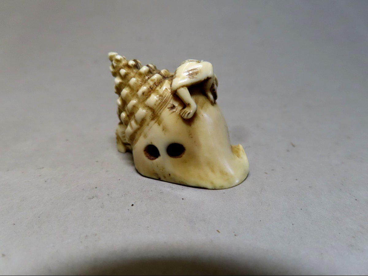 Netsuke en ivoire. Deux karako sur une conque géante. Japon époque Meiji (1868-1912 )-photo-4