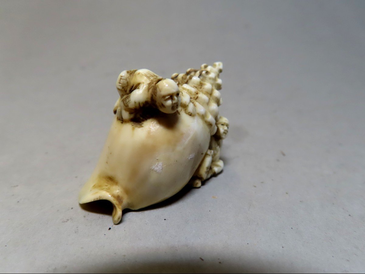 Netsuke en ivoire. Deux karako sur une conque géante. Japon époque Meiji (1868-1912 )-photo-2