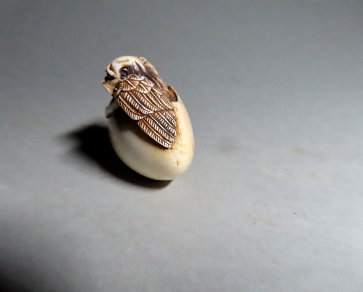 Ivory Netsuke. Tengu Emerging From The Egg. Japan Meiji Period (1868-1912)-photo-2