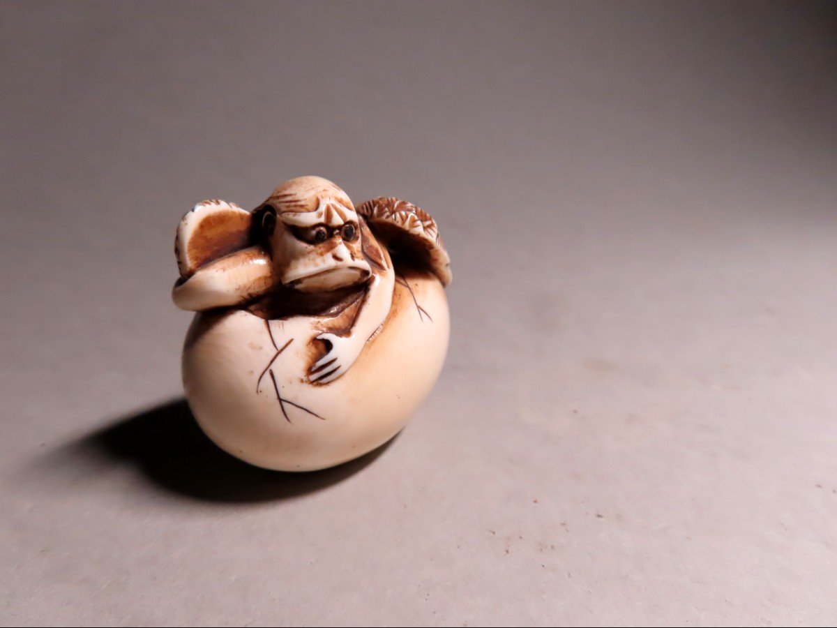 Ivory Netsuke. Tengu Emerging From The Egg. Japan Meiji Period (1868-1912)-photo-1