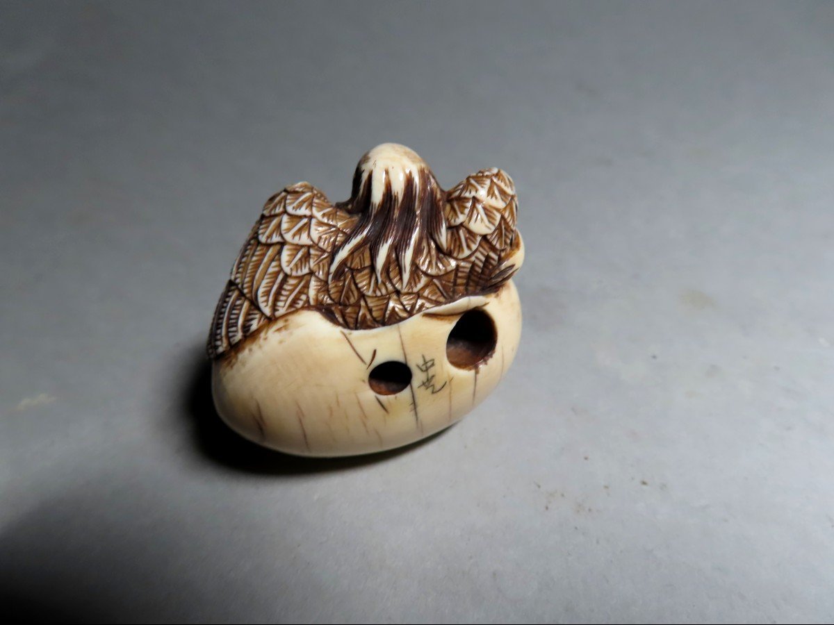 Ivory Netsuke. Tengu Emerging From The Egg. Japan Meiji Period (1868-1912)-photo-3