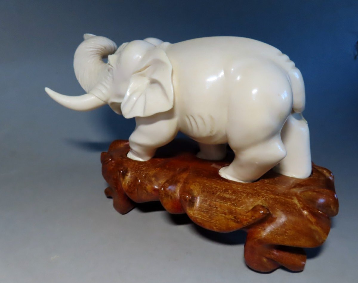 Ivory Okimono. Imposing Elephant. Japan Meiji Period (1868-1912)-photo-3