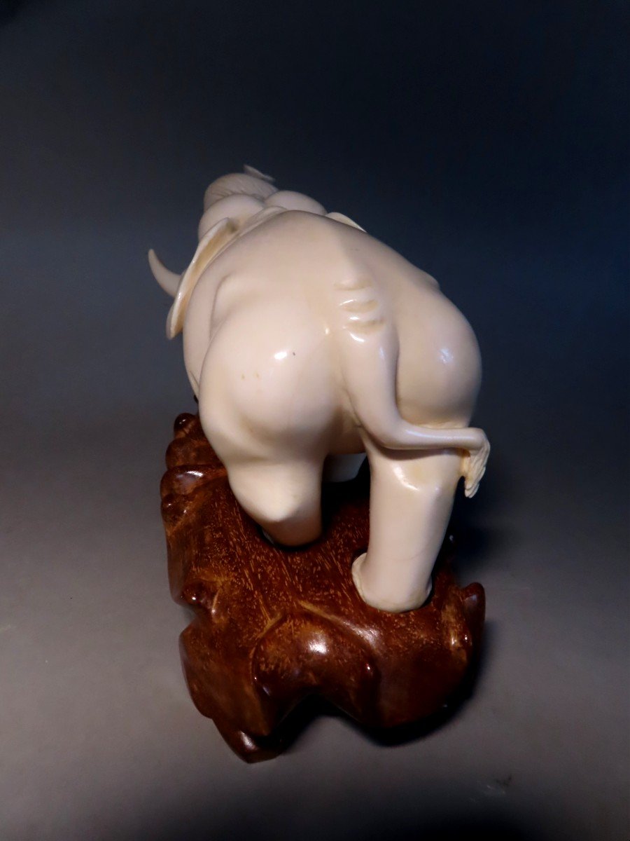 Ivory Okimono. Imposing Elephant. Japan Meiji Period (1868-1912)-photo-4